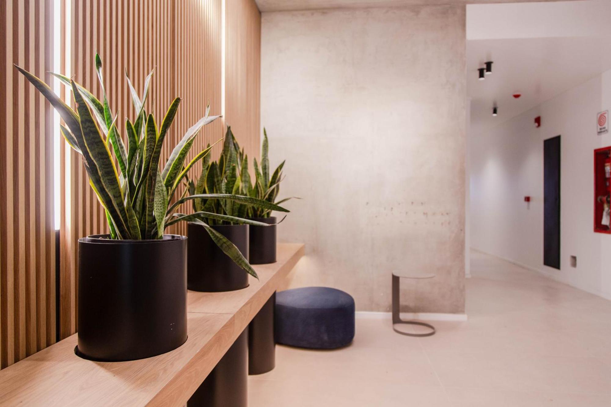 Apartamento Amaranto Elegant *